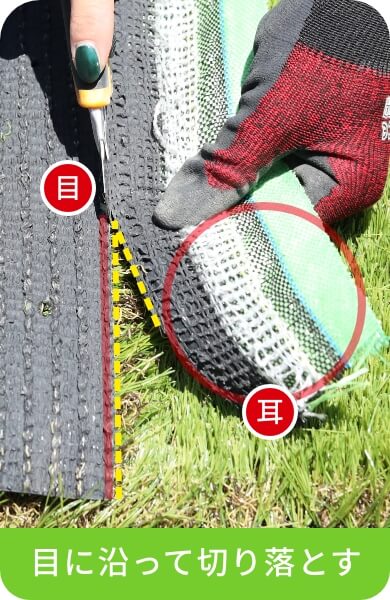 目に沿って切り落とす