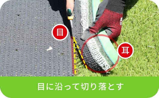 目に沿って切り落とす