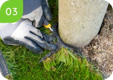 余分なところを切り落とします。