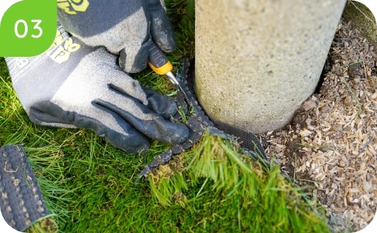 余分なところを切り落とします。