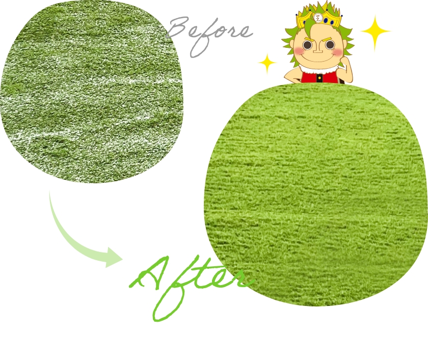 03 日光で立ち上がる毛足