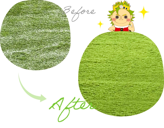 03 日光で立ち上がる毛足