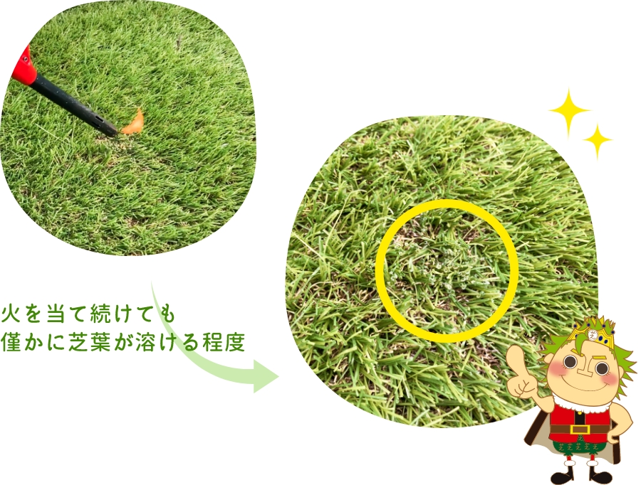 火を当て続けても僅かに芝葉が溶ける程度