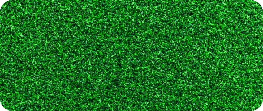 ゴルフ用芝丈13mm