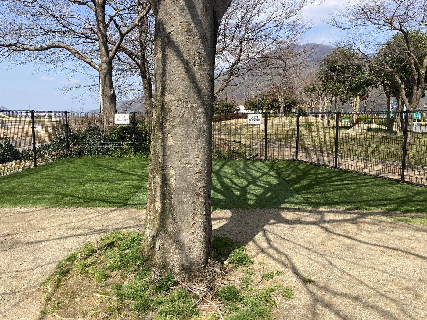 NEXCOサービスエリアでの人工芝施工実験地。左が芝キング、中央がA社、右がB社