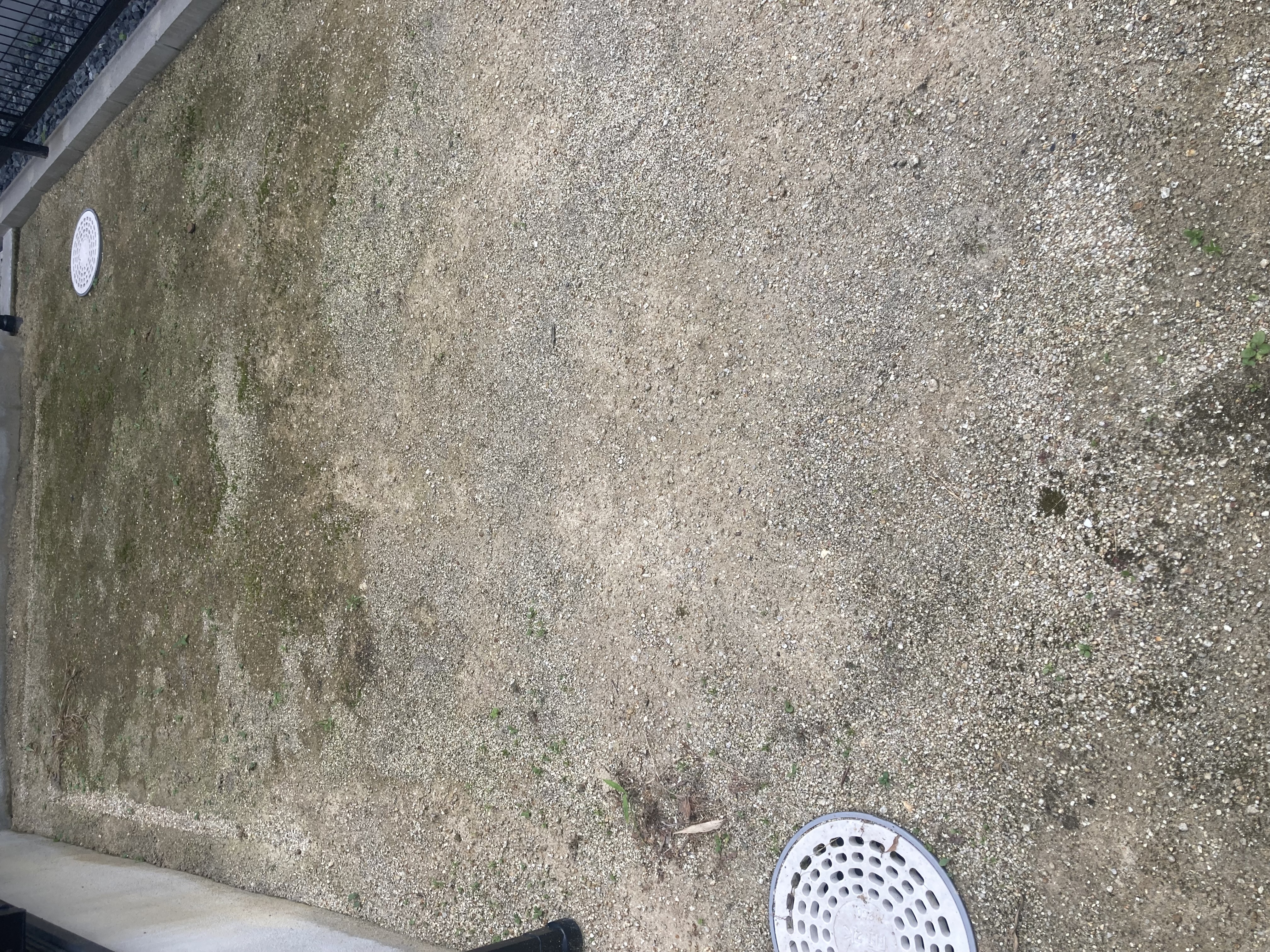 施工前の苔むしたバルコニー