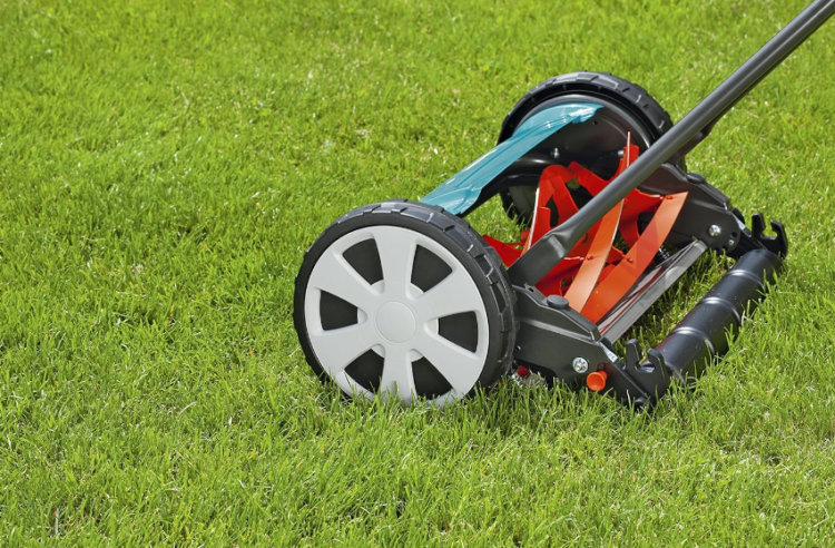 天然芝って大変！？お手入れ編