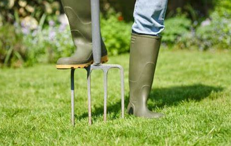 天然芝って大変！？お金編