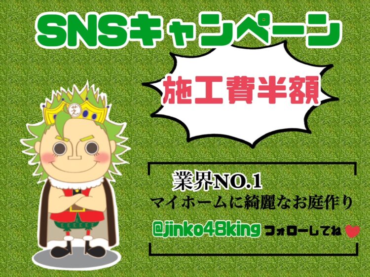 SNSキャンペーン実施中