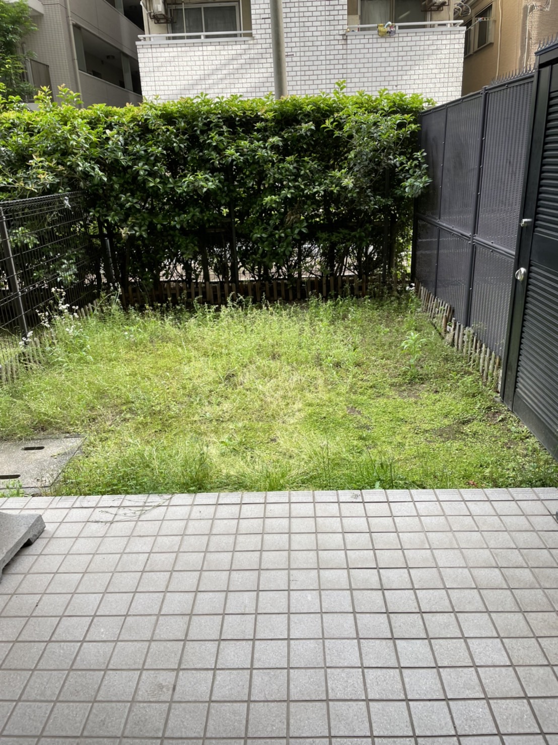 施工前:雑草が伸び放題になった専用庭