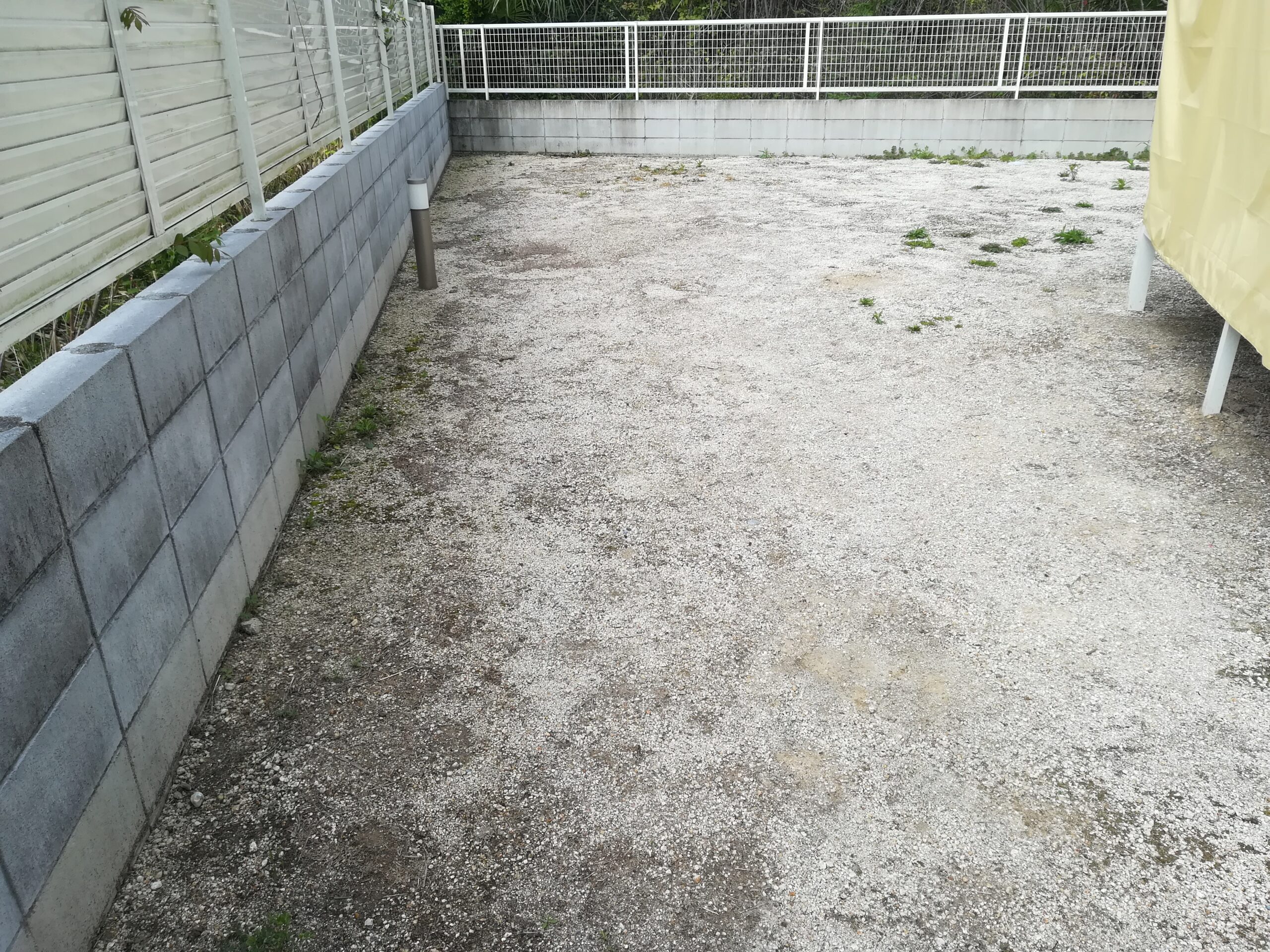 日進市・施工前の雑草が目立つ裏庭