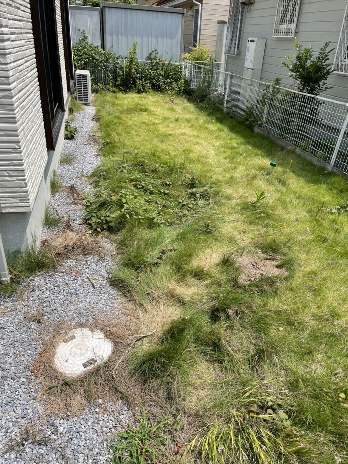 施工前：雑草が生い茂ったお庭