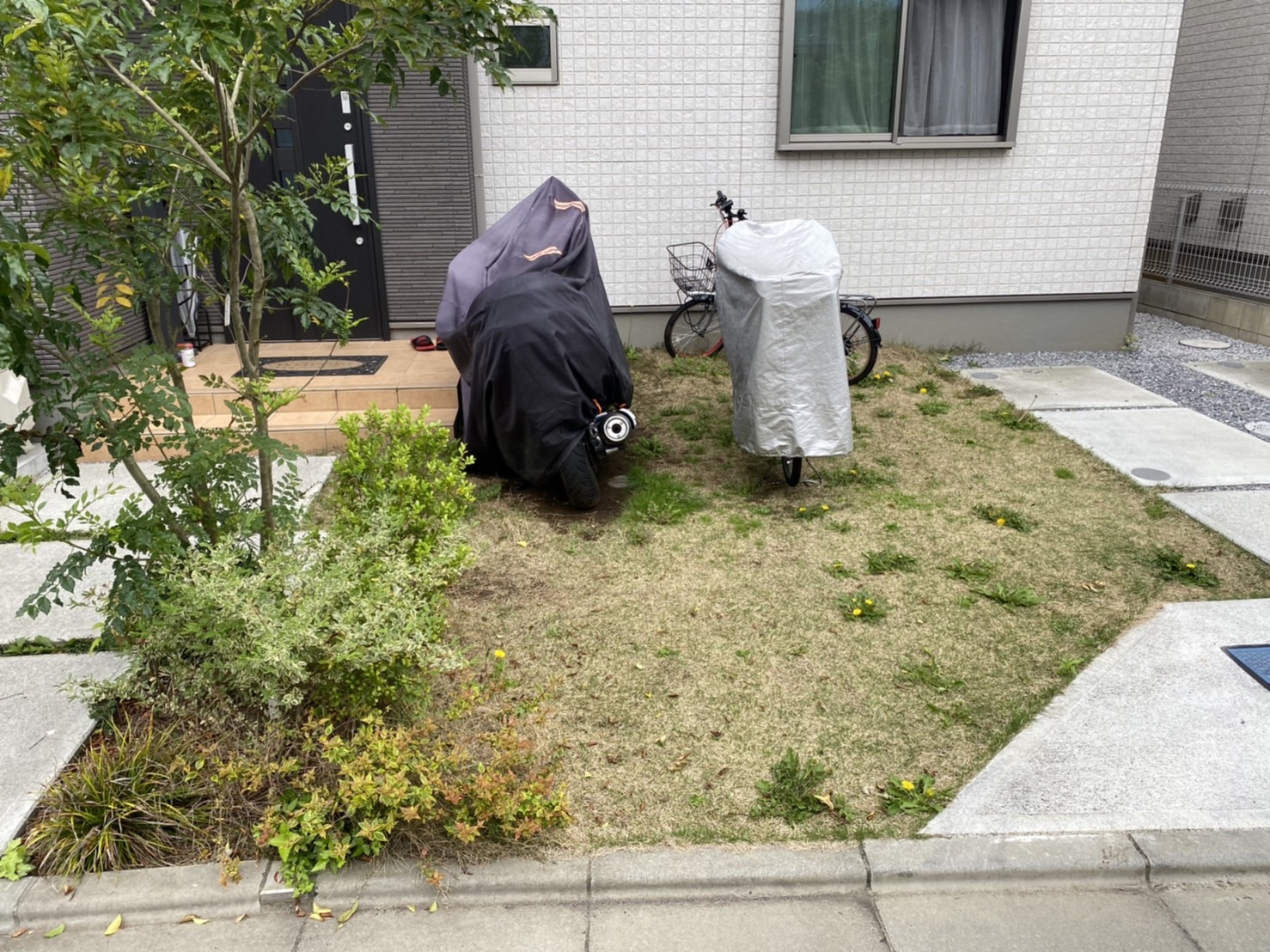 施工前:枯れて雑草の目立つ前庭