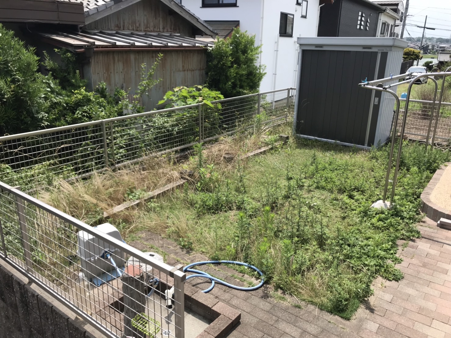 半田市・施工前の背丈まで伸びた雑草地