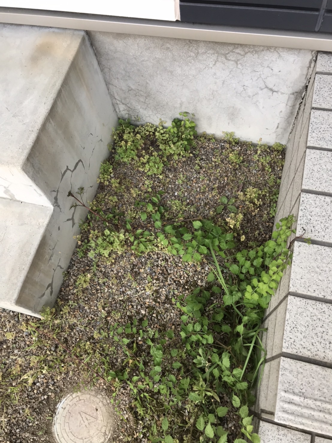 小牧市・施工前の砂利と雑草の裏庭