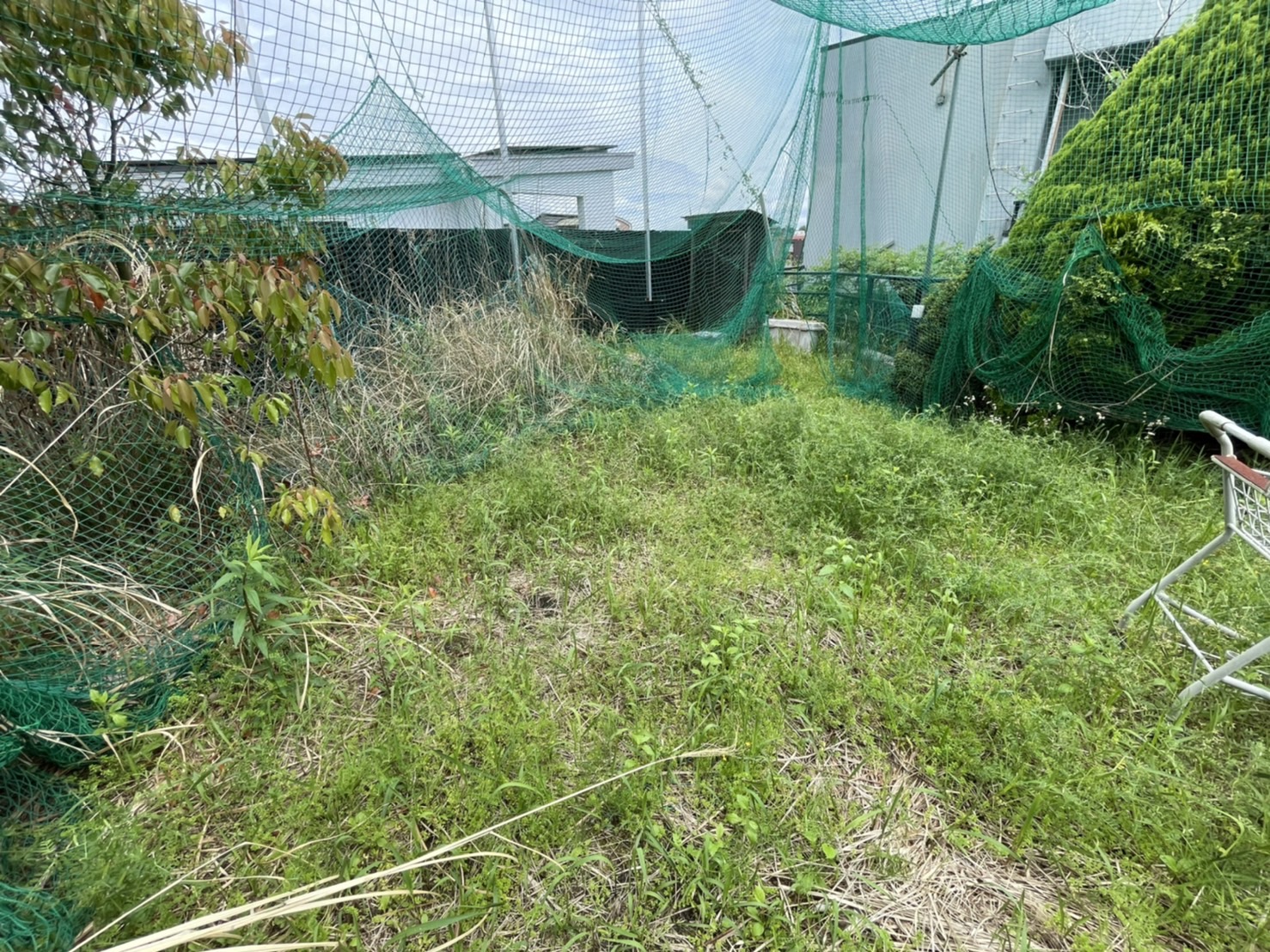 株式会社リフレッシュあらい様・施工前の雑草に覆われた練習スペース