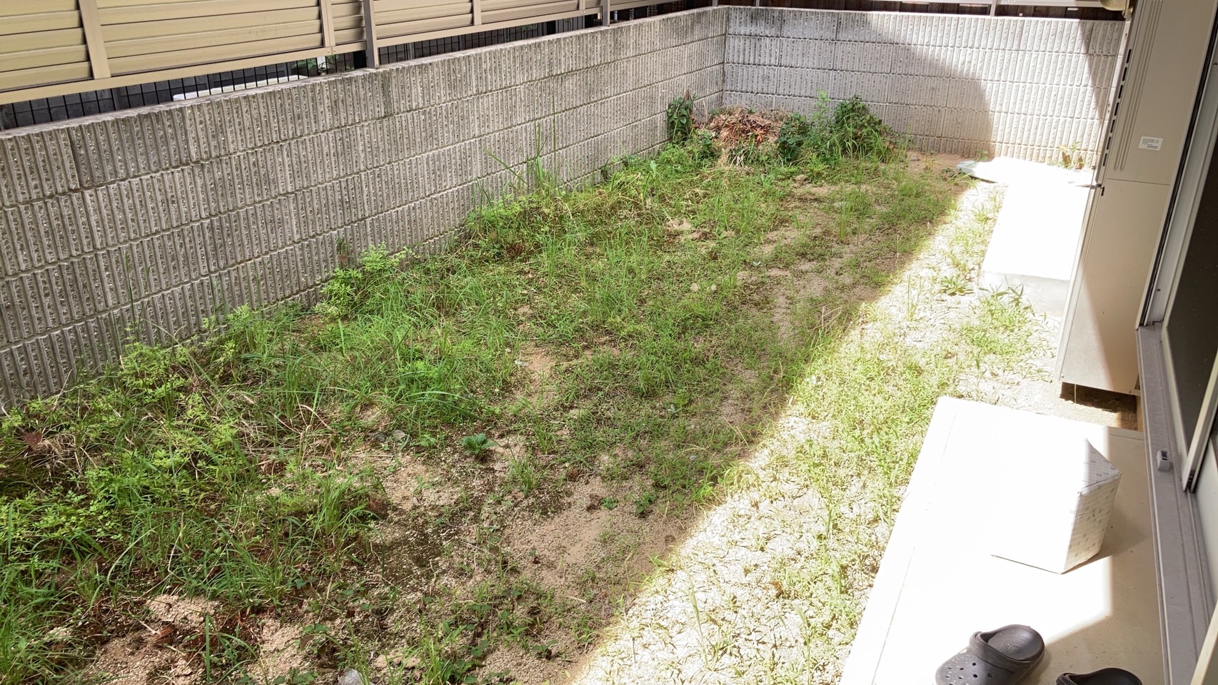 豊橋市・施工前の雑草だらけの裏庭