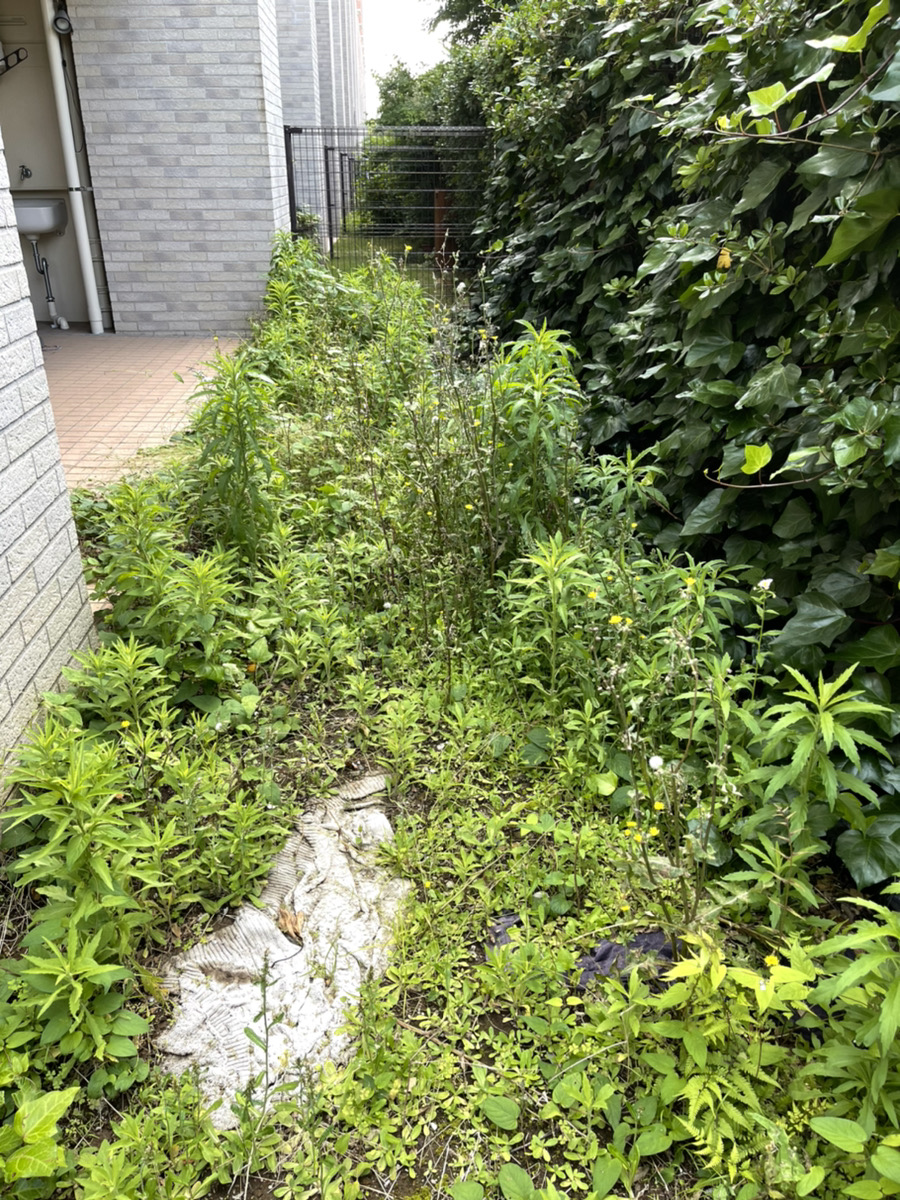 施工前:雑草が生い茂る専用庭