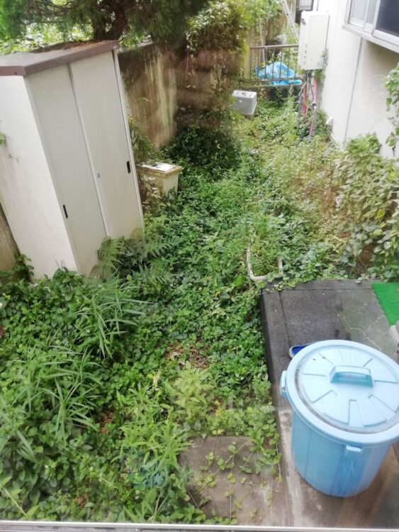 雑草とツタで塞がった裏庭を歩きやすい緑の通路に｜静岡市駿河区の人工芝施工事例