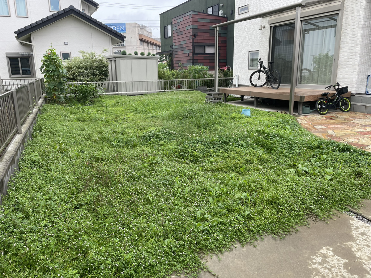 施工前：クローバーと雑草が広がる裏庭