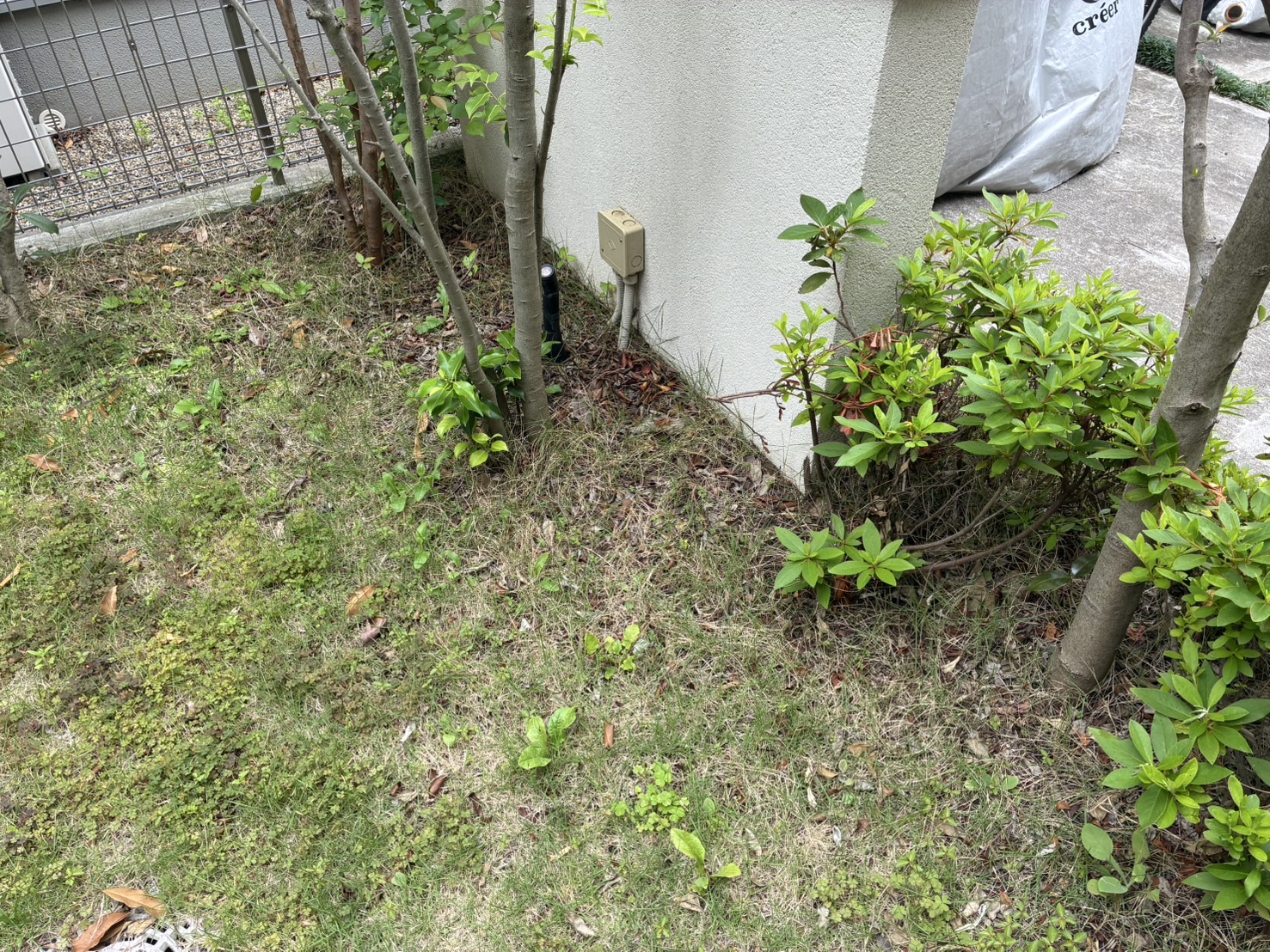 施工前:雑草が広がった建物脇の庭