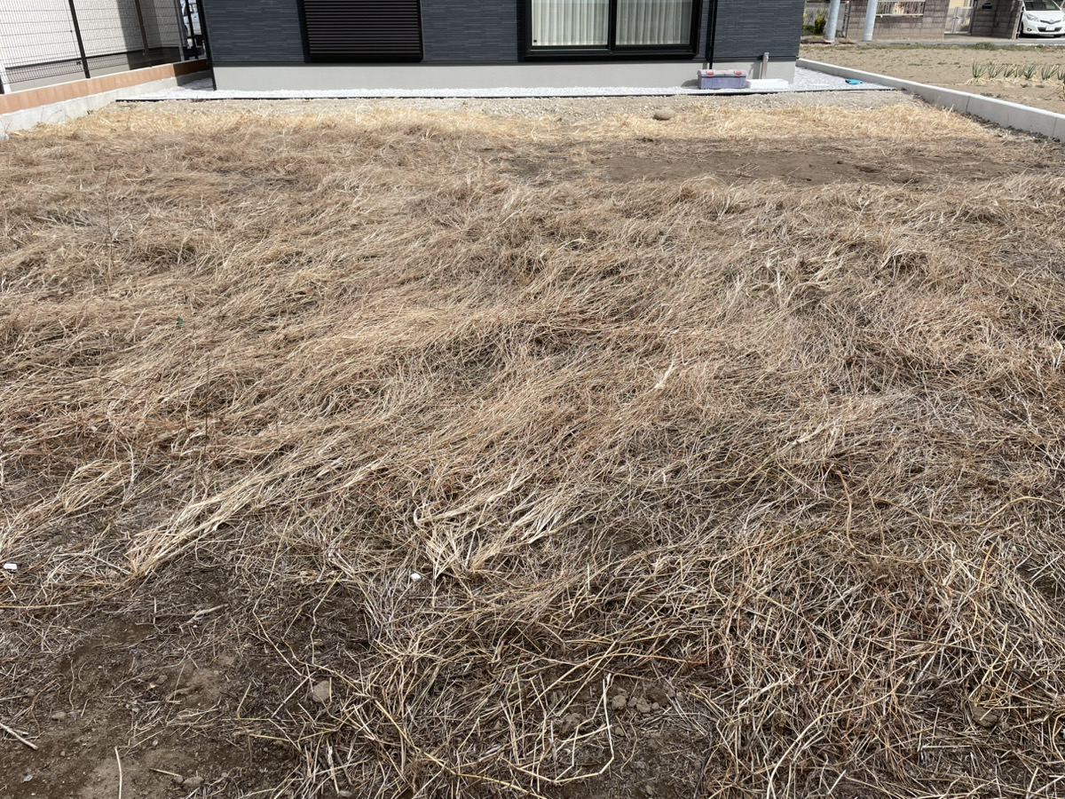 施工前:枯れた雑草に覆われた新築のお庭