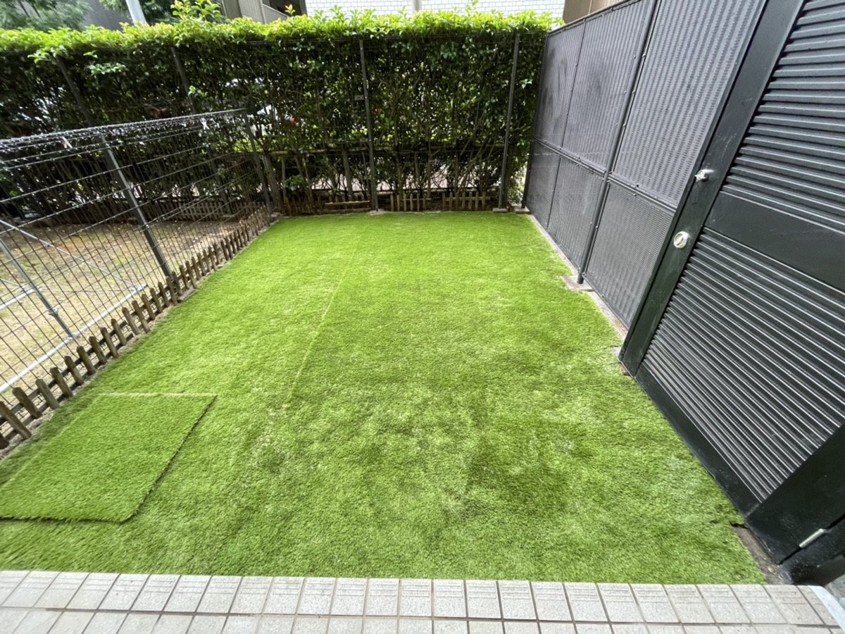 施工後：フェンスと生垣の足元まで続く人工芝