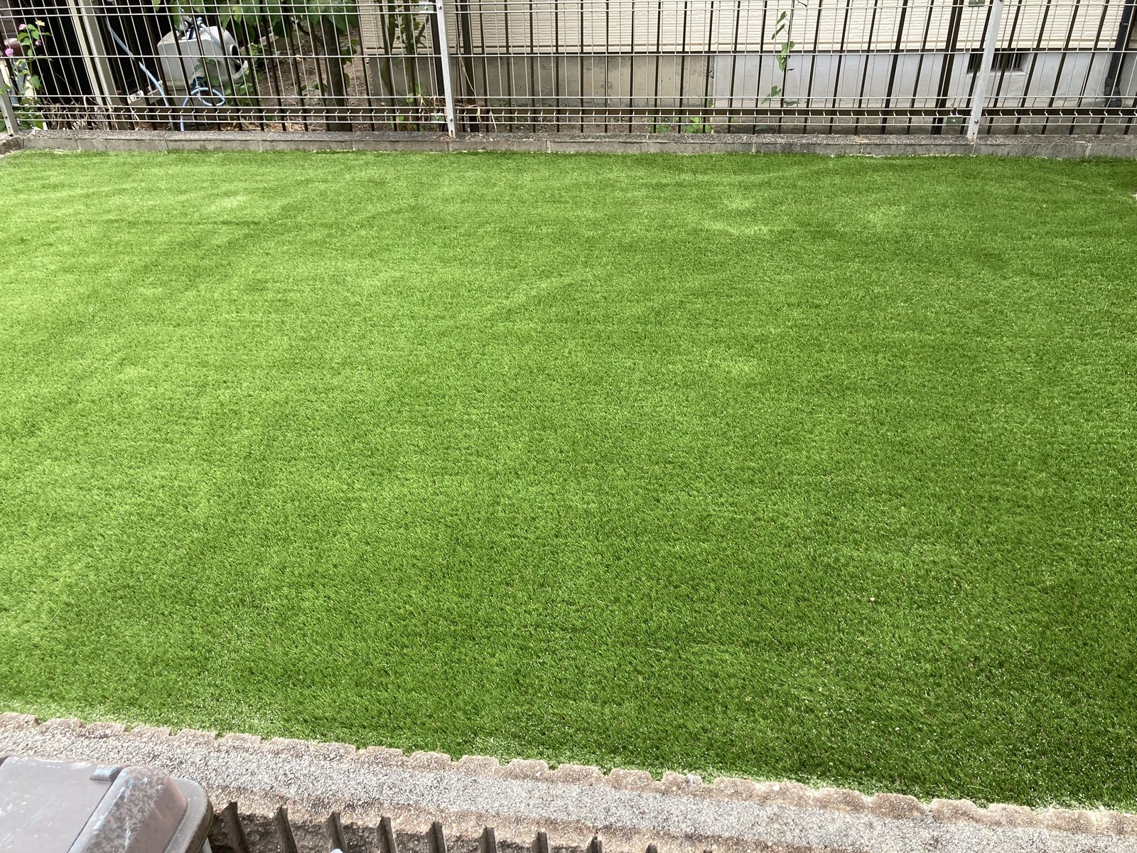 施工後：フェンス際が一面の人工芝に
