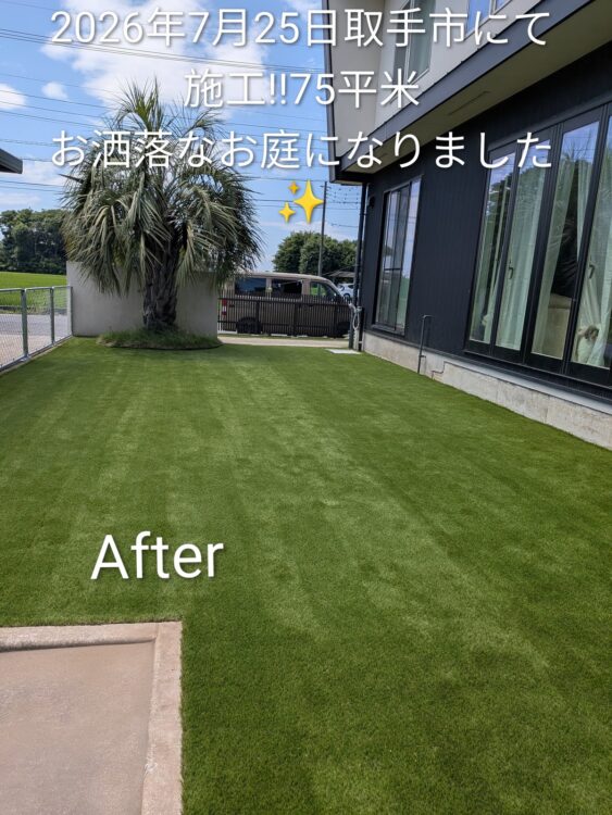 シンボルツリーの足元を建物際まで敷き詰めた庭に｜取手市の人工芝施工事例