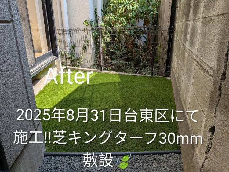 建物脇の細長い通路をフェンス際まで敷き込んだ緑に｜台東区の人工芝施工事例