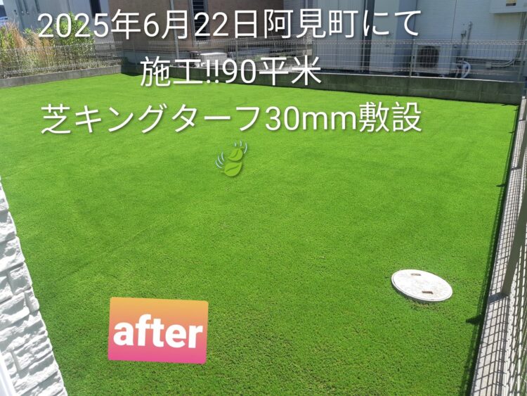防草シートの継ぎ目から伸びた雑草を手入れゼロの庭に｜阿見町の人工芝施工事例