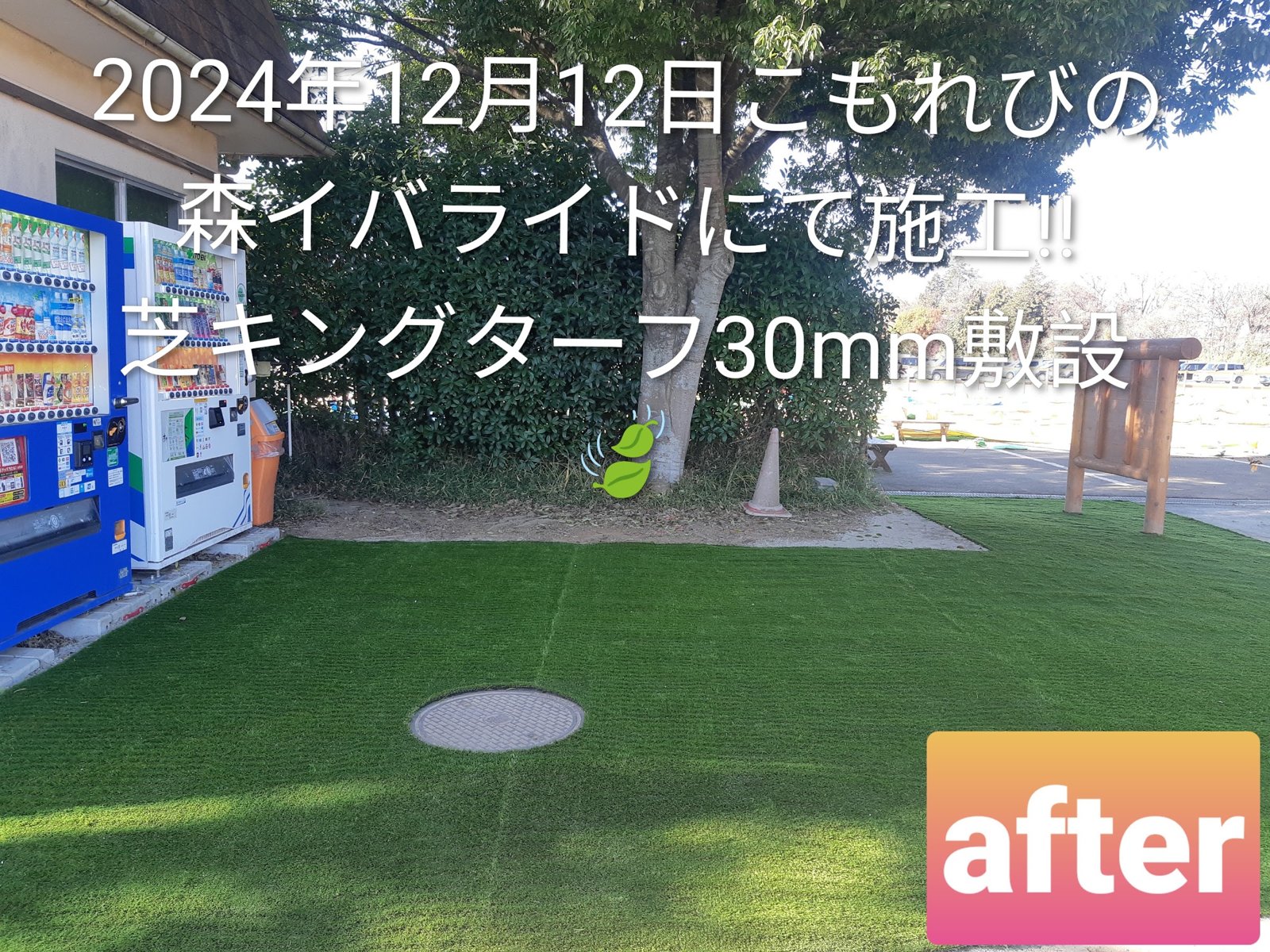 施工後:大木の根元の広場が人工芝に