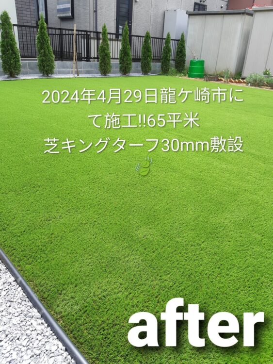 まだらに枯れた芝生をコニファーの際まで敷いた緑に｜龍ケ崎市の人工芝施工事例
