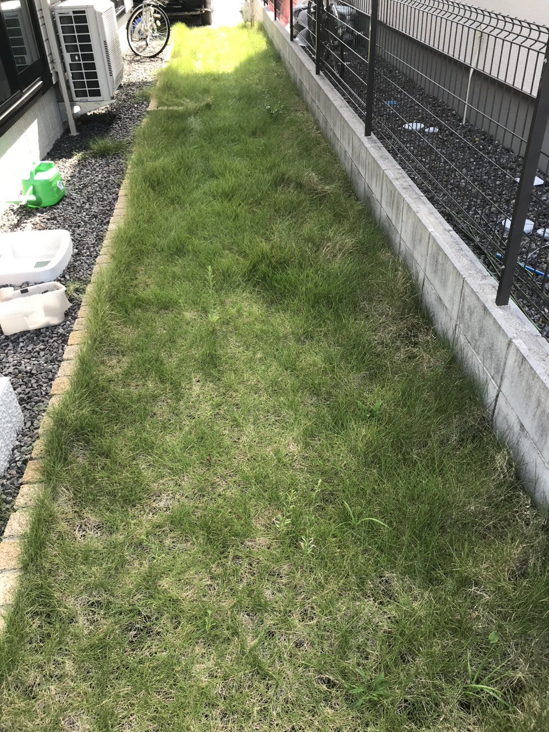 施工前：雑草混じりの天然芝が残る建物脇通路