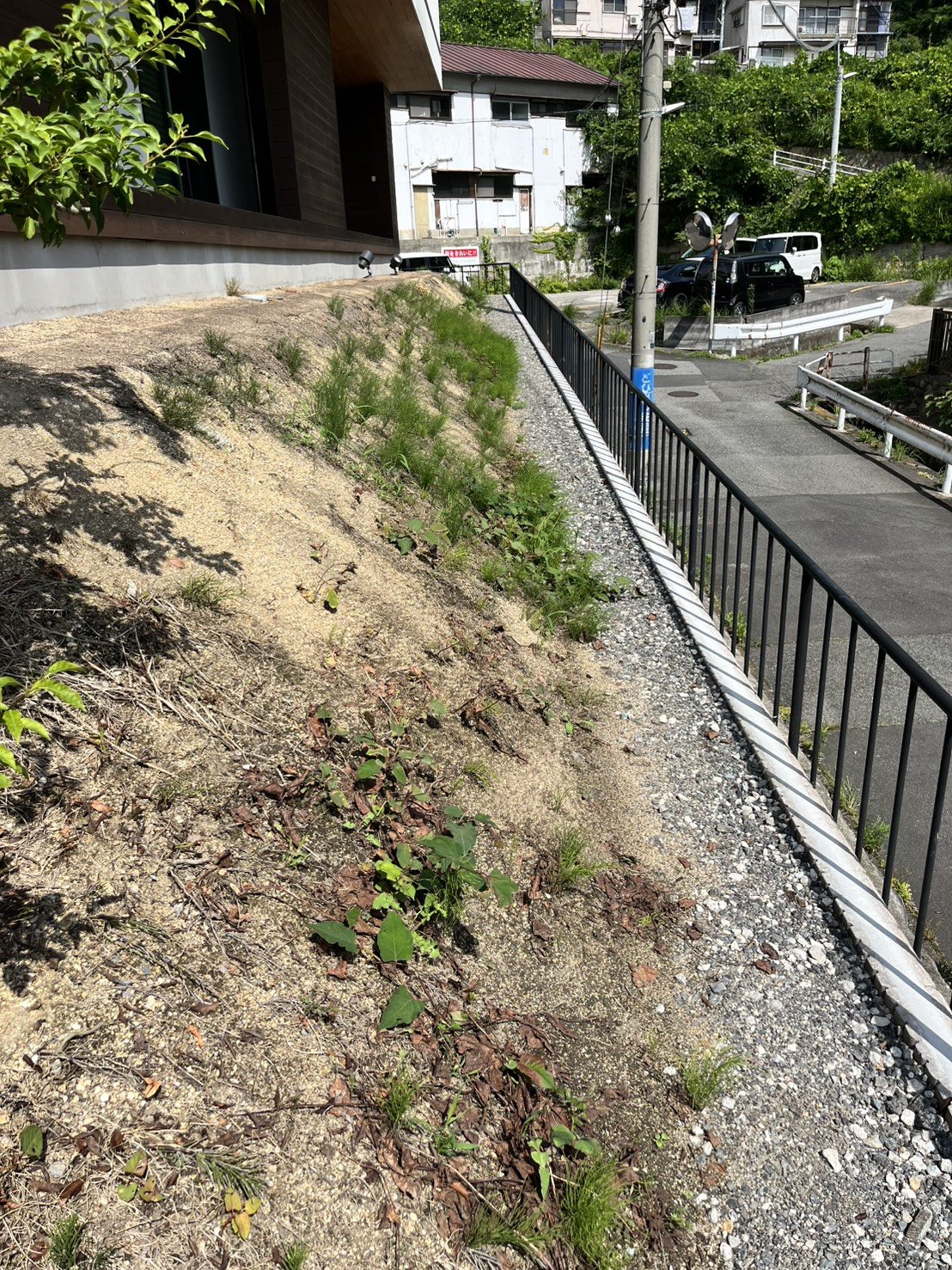 施工前：雑草が生い茂った急な法面