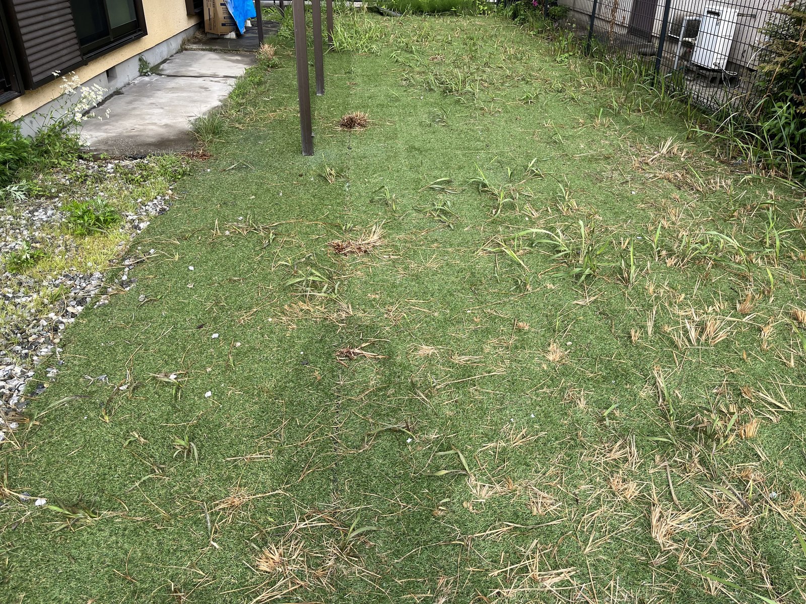 施工前:雑草が伸びた裏庭の既存の芝