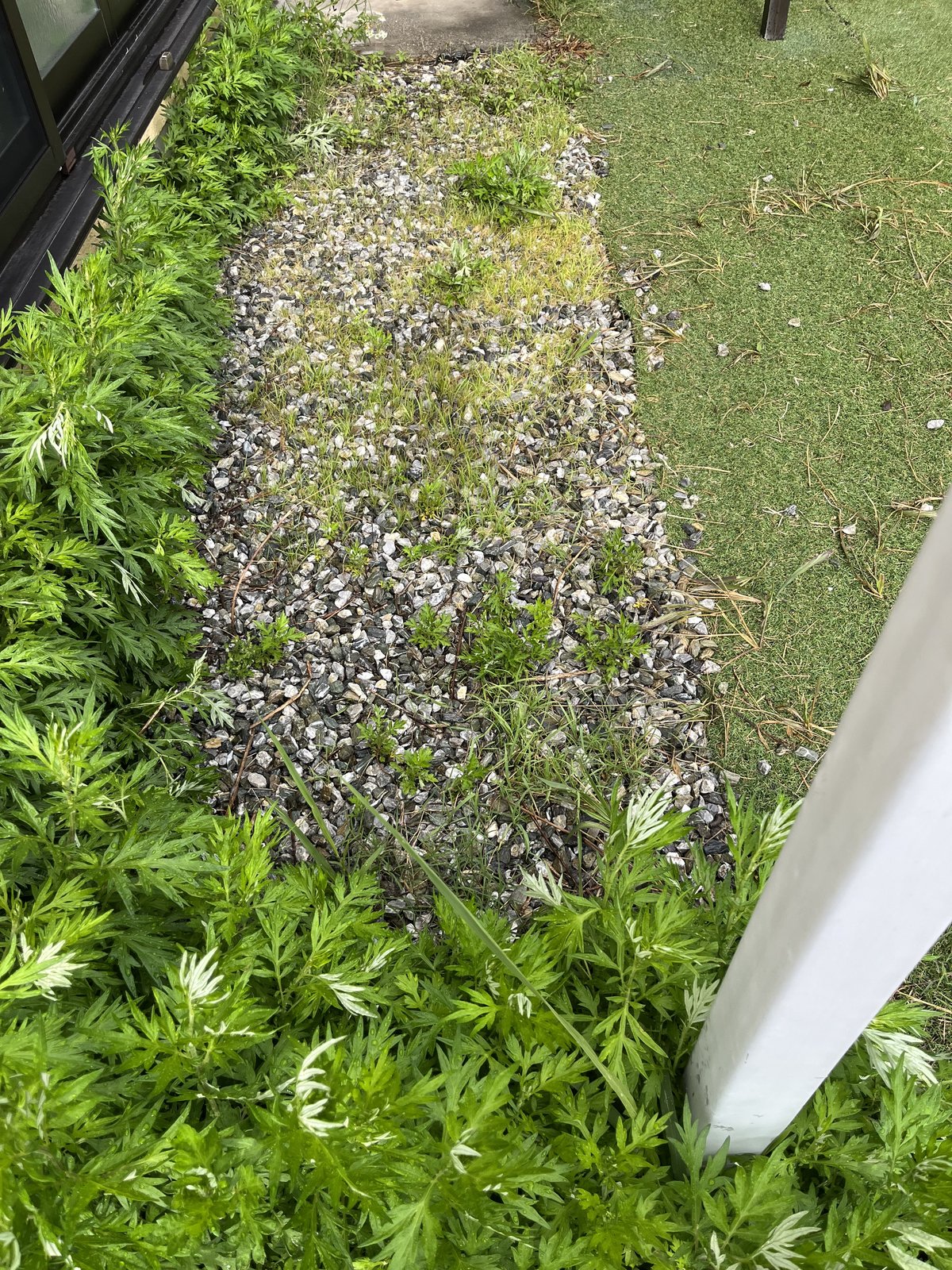 施工前:雑草混じりの砂利敷きの犬走り