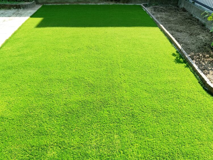 平板を撤去した土のままの裏庭を青々とした芝生に｜みよし市の人工芝施工事例
