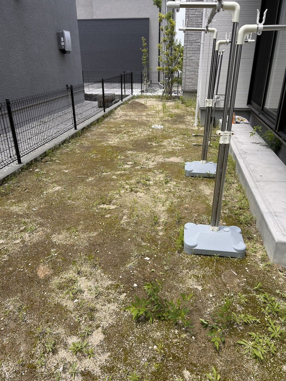 施工前:苔が一面に広がった裏庭の地面