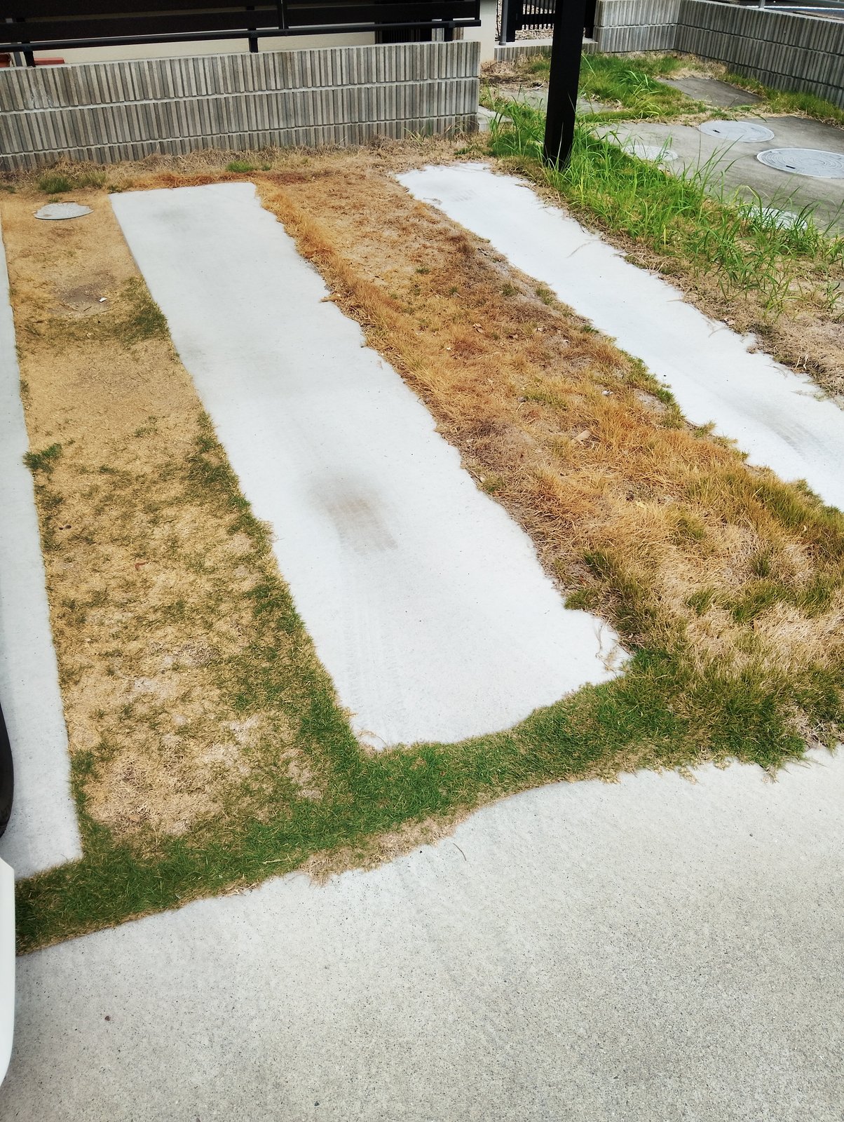 施工前：枯れ芝と雑草が縞状に残る駐車スペース