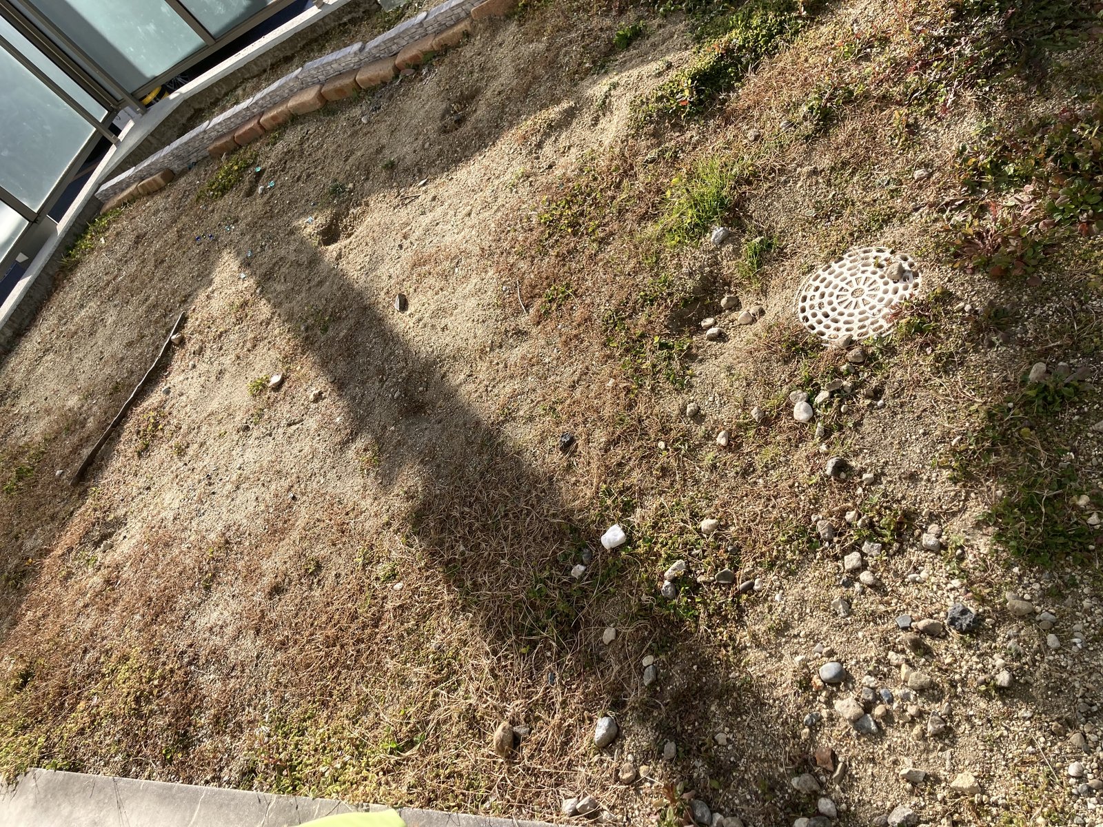 施工前：枯れ草と砂利まじりの土が広がる屋上テラス