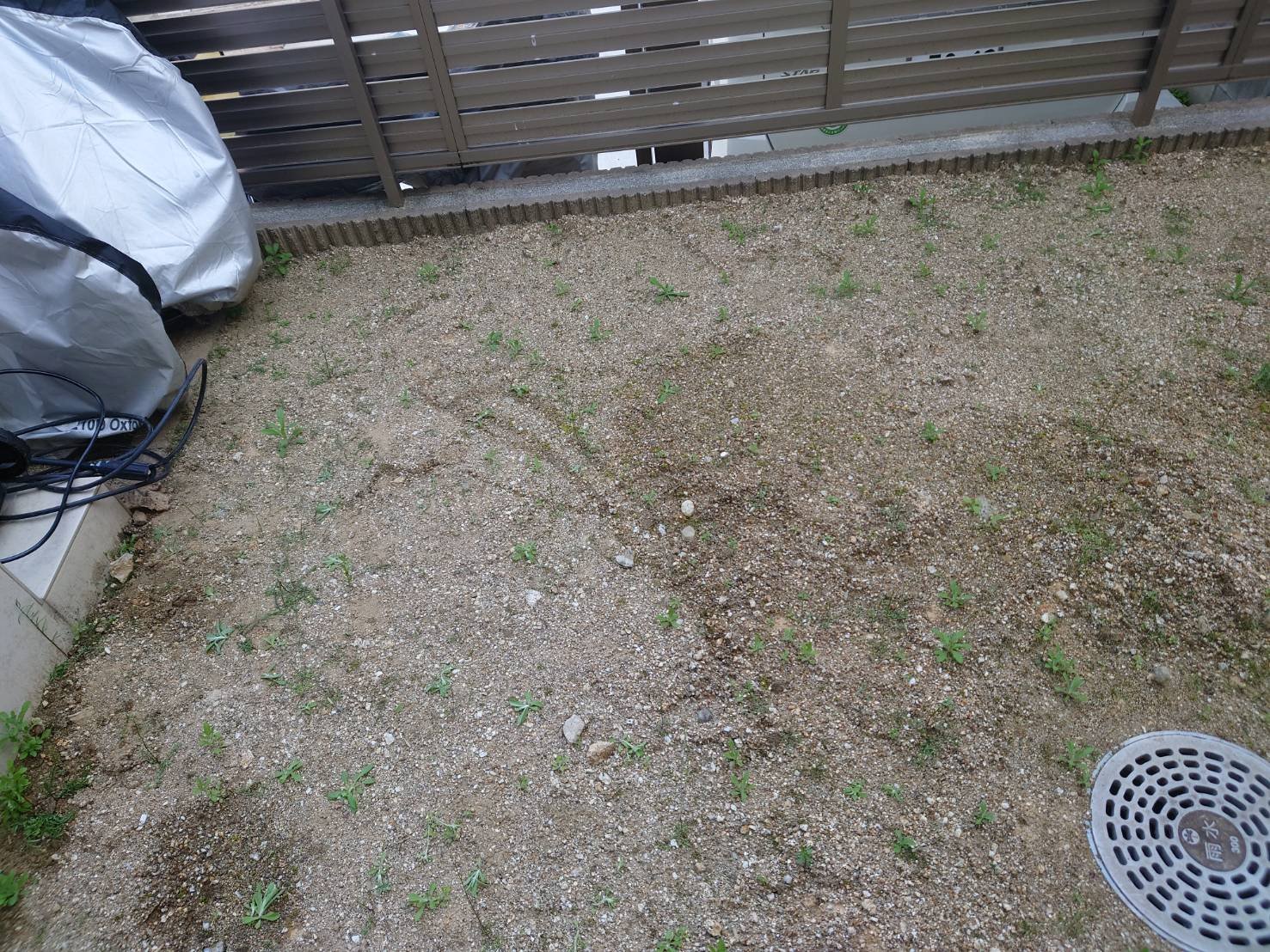 施工前:別角度から見た砂利と雑草の裏庭