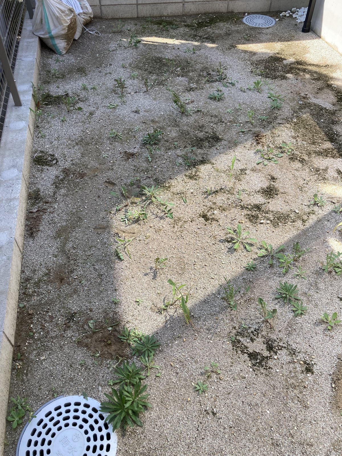 施工前:別角度から見た雑草の生えた裏庭